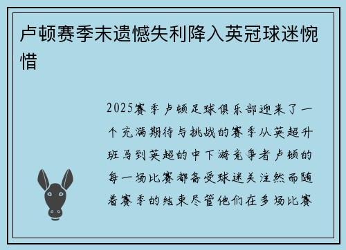卢顿赛季末遗憾失利降入英冠球迷惋惜